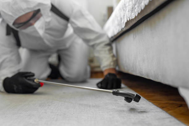 Professional Bed Bug Control technician working in Louisville, KY