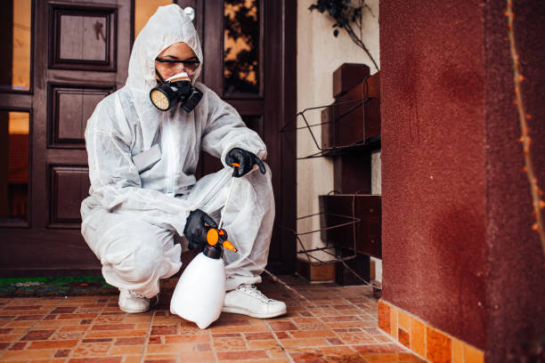 Reliable Bed Bug Control contractor in Louisville, KY by Nex Pest Control