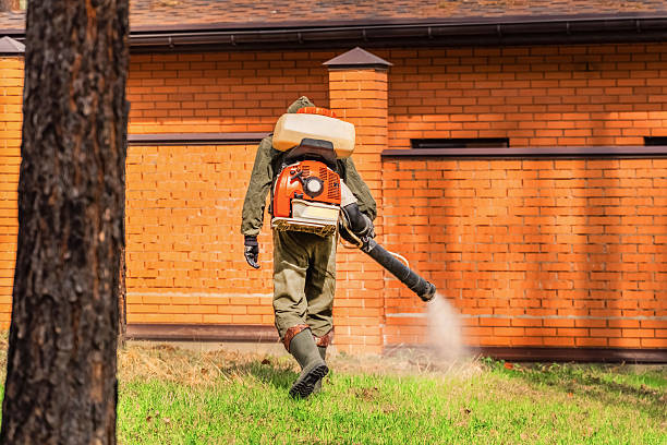 Trusted Bed Bug Control service in Louisville, KY - Nex Pest Control